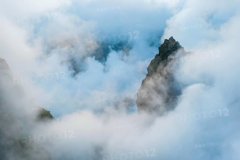 A mountain covered in fog and clouds with blooming Cytisus shrubs. Near Pico de Arieiro, Madeira island, Portugal, Europe