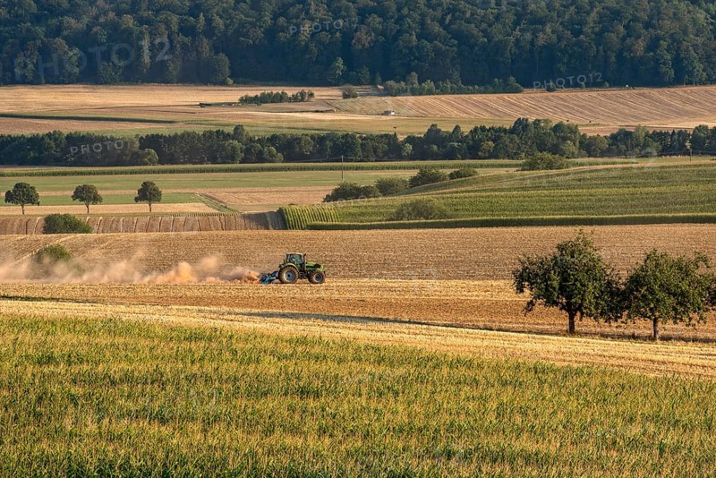 Tractor with plough digging up dried out soil, dust cloud, dust, dry, corn field, field, soil, ploughing, digging up, cultivated landscape, Ronneburger Hügelland, Glauberg, Glauburg, Wetterau, Hesse, Germany, Europe