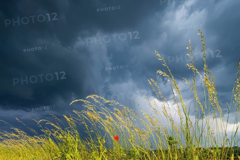 Thunderstorm cell over fields near Krebs in the Osterzgebirge, Krebs, Saxony, Germany, Europe