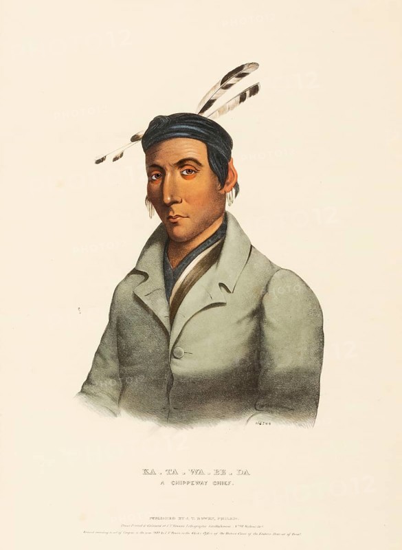 Ka-Ta-Wa-Be-Da. A Chippeway Chief (1841), Indians, Historical Indian tribes from North America, Charles Bird King (1785, 1862), Historical, digitally restored reproduction from a 19th century original, Record date not stated