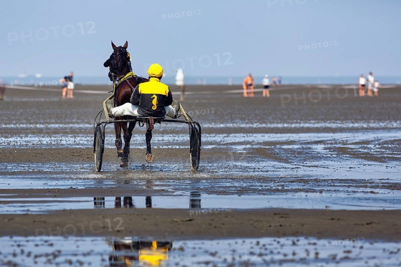 Horse with sulky, trotter, horse-drawn carriage, trotting race in the mudflats, Duhner Wattrennen 2019, Duhnen, Cuxhaven, UNESCO World Heritage Wadden Sea, North Sea, Lower Saxony, Germany, Europe