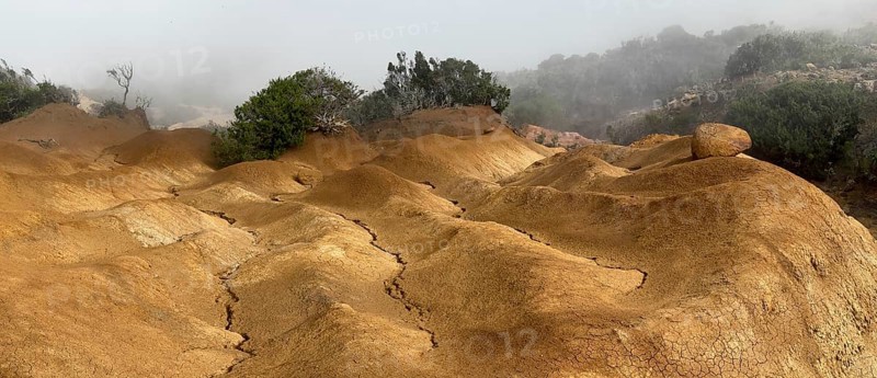 Yellow soil and rocks, erosion, near Arguamul, La Gomera, Canary Islands, Spain, Europe