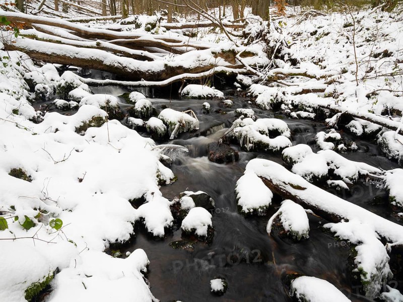 Hill Stream, the Schwartzbach, in snow and ice in November. The Rhön UNESCO Biosphere nature reserve, county Bavaria, Germany, Europe