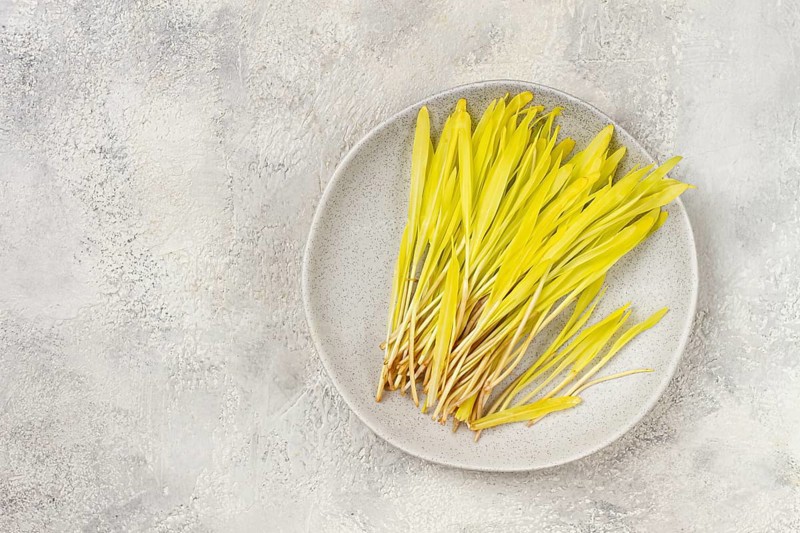 Microgrown corn, a bouquet of microgrown, on a light plate, there are no people.