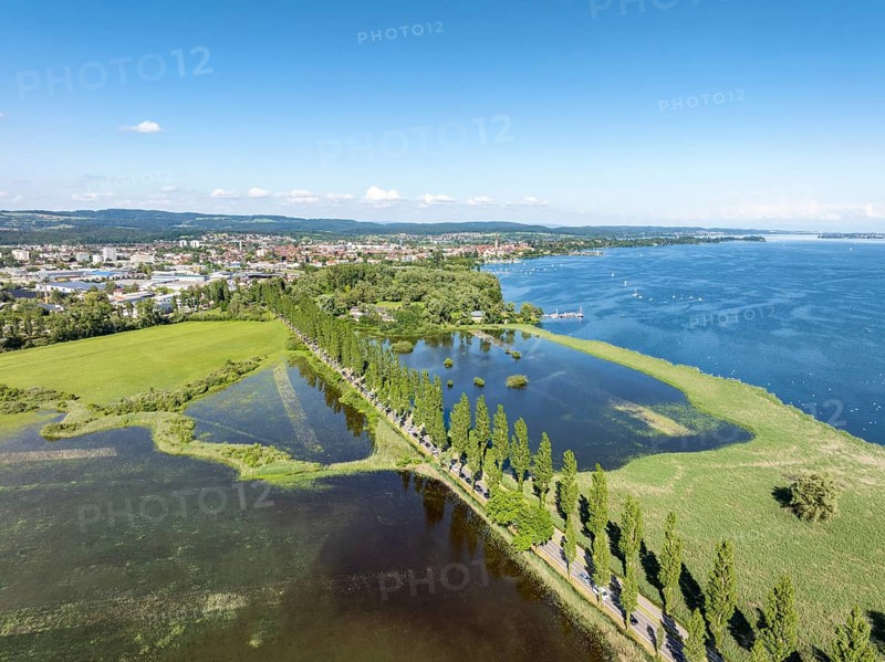 Aerial view of the Mooser Damm with the poplar avenue on the western part of Lake Constance. The dam connects the town and surrounding area of Radolfzell with the Höri peninsula. In the past, the road had to be closed at times due to flooding, District of Constance, Baden-Württemberg, Germany, Europe