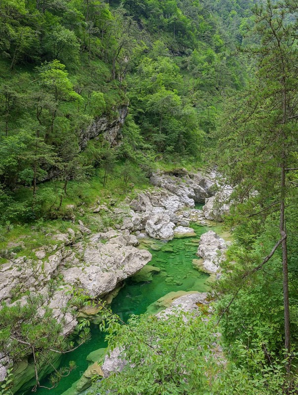 Emerald green river Pozze Smeraldine, Tramonti di Sopra, Province of Pordenone, Italy, Europe