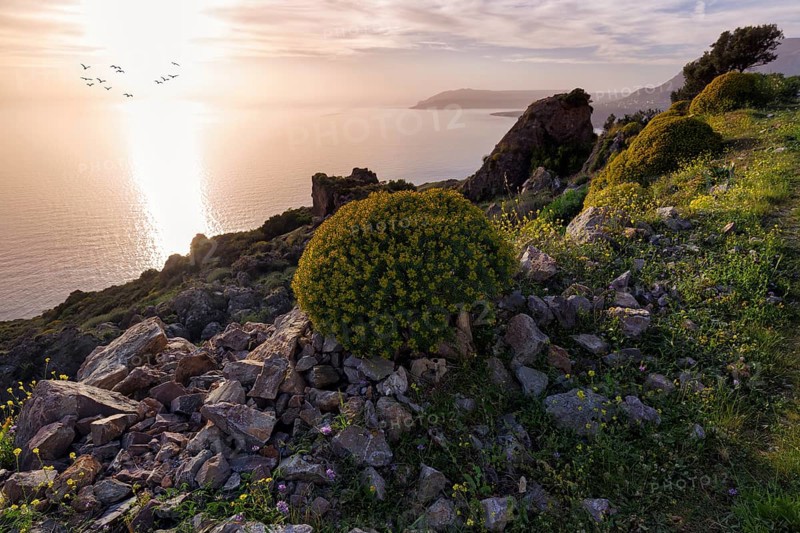 Striking rocky coast in spring, evening sun, backlight, Messinian Gulf, Ionian Sea, Mani, Greece, Europe
