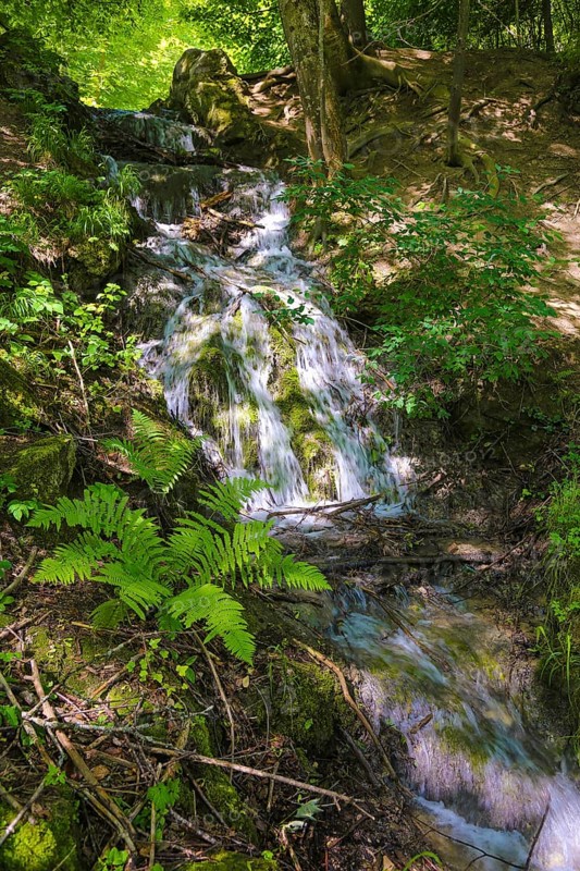 Small waterfall at the Gönningen lakes, calcareous tufa nature trail, idyll, nature, at the foot of the Swabian Alb, Gönningen near Reutlingen, Wiesaztal, Baden-Württemberg, Germany, Europe
