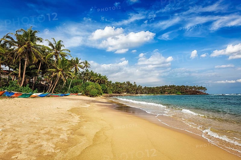 Tropical vacation holiday background, paradise idyllic beach. Mirissa, Sri lanka