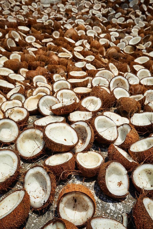 Drying coconuts in street, Kerala, South India