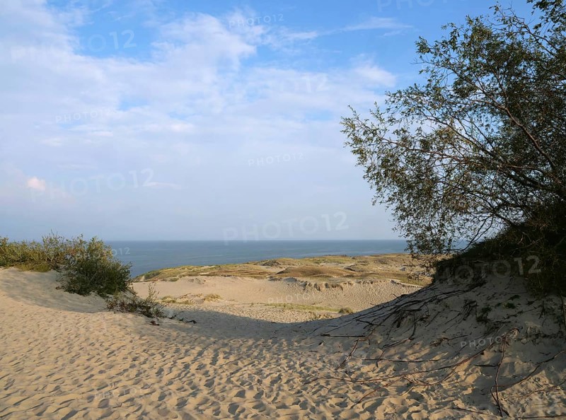 The Parnidis Dune in the Curonian Spit National Park is one of the largest shifting sand dunes in Europe. In the background the Curonian Lagoon, Parnidis Dune, Nida, Curonian Spit, Lithuania, Europe