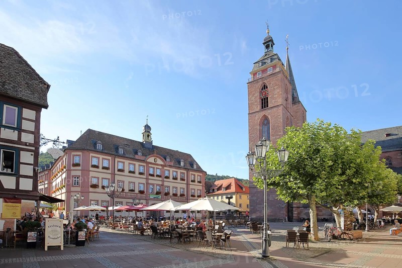 Market square with baroque town hall and baroque collegiate church of St. Ägidius in Neustadt an der Weinstraße, Rhineland-Palatinate, Germany, Europe