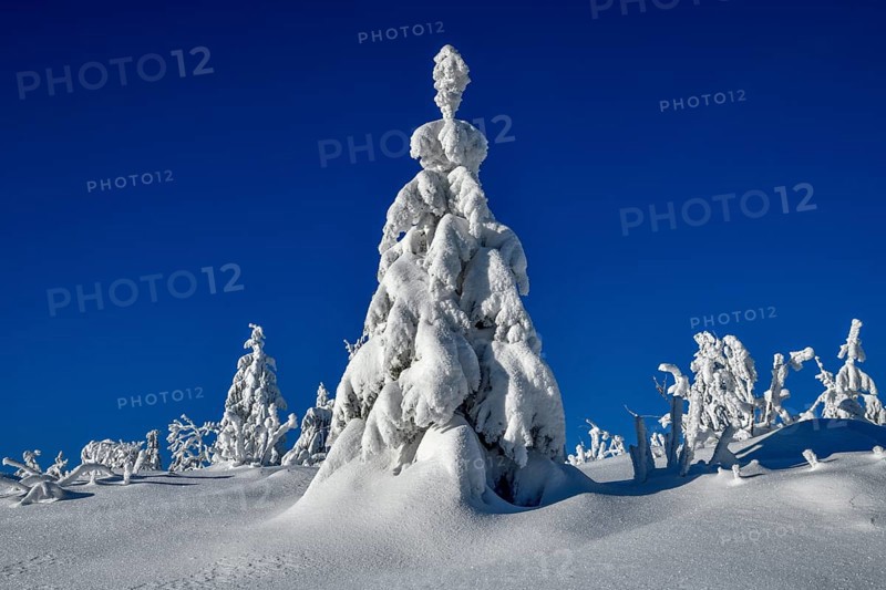 Snowy winter landscape near the Vogelskopf, near Baiersbronn, county Freudenstadt, Black Forest, Baden-Württemberg, Germany, Europe
