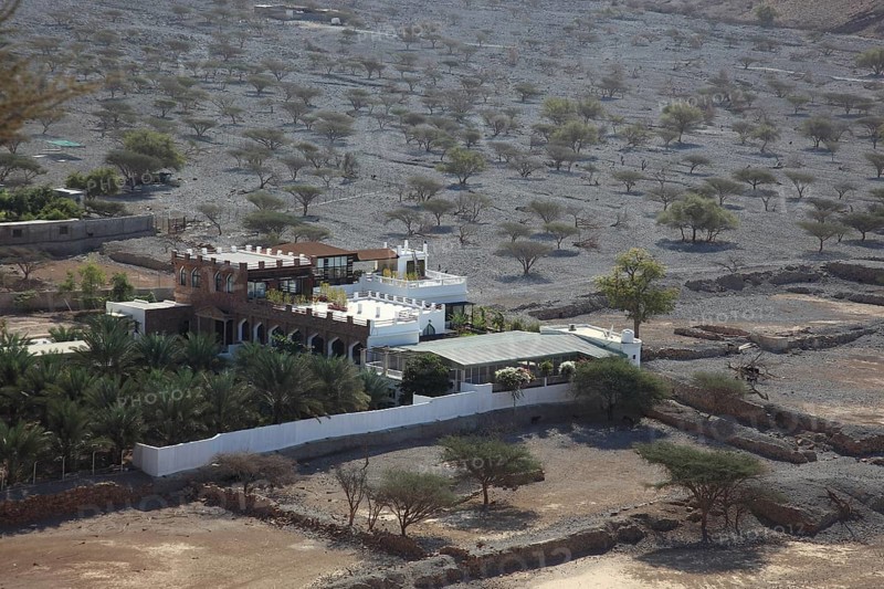 Palm grove in the bay of Bukha, in the Omani enclave of Musandam, Oman, Asia