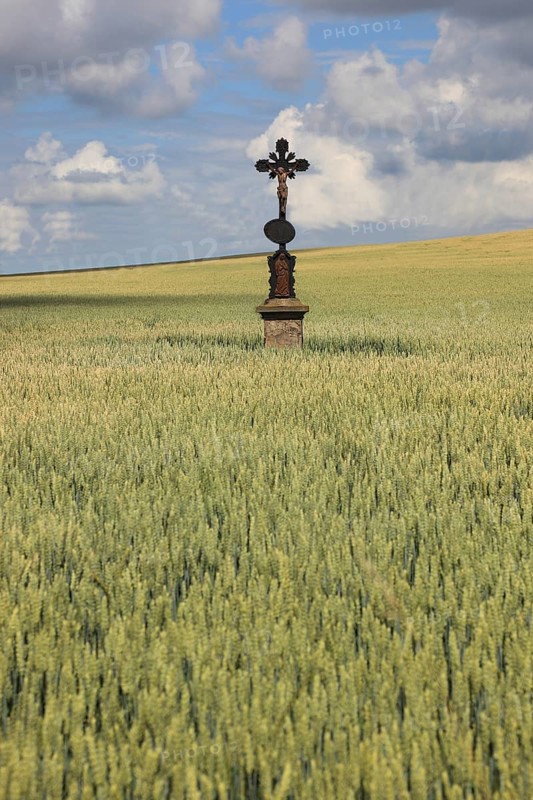 Field cross in a wheat field, near Dukovany, Czech Republic, Grain field with a lonely field cross, near Dukovany, South Moravia, Kraj Vysocina, Czech Republic, Europe