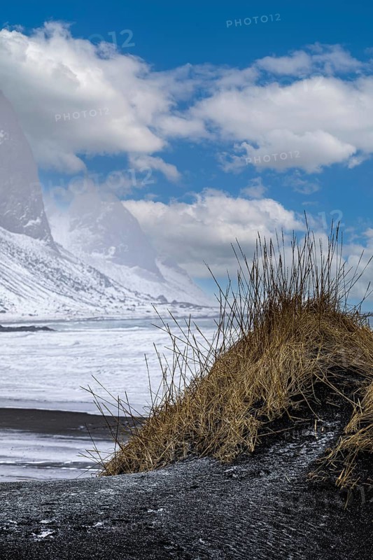 Black sand dune with reed remains, behind it snowy rocky slopes of Vestrahorn, near Höfn, Sudausturland, Iceland, Europe