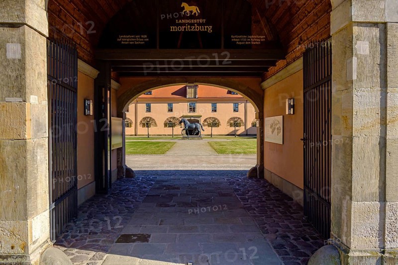 View into the courtyard of the State Stud Moritzburg near Dresden, Saxony, Germany, the State Stud of the Free States of Saxony and Thuringia, 1 March 2022, Europe