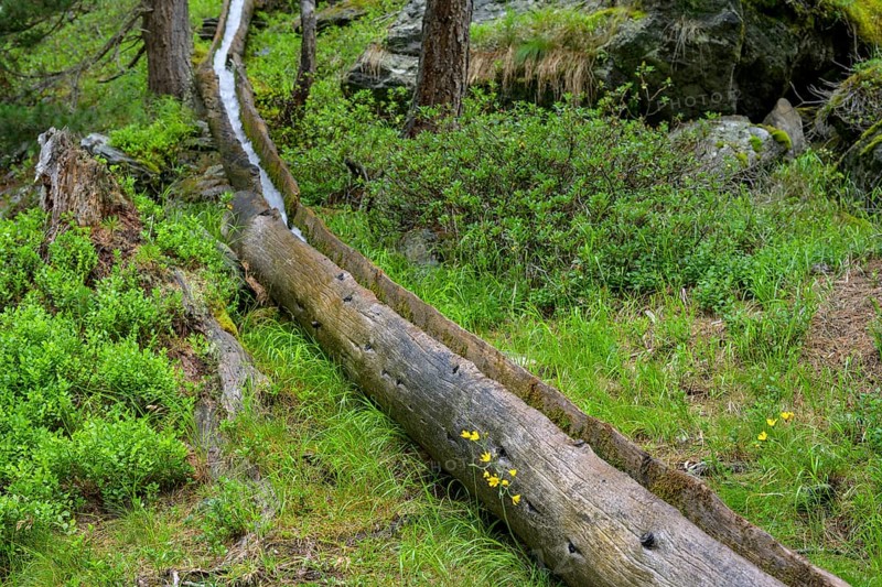 Wooden channel of the Kandelwaal, Martell, South Tyrol, Italy, Europe
