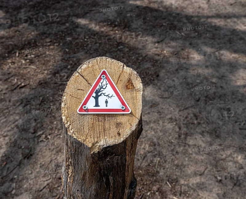 Warning sign on a sawn-off tree in the Berlin Forest, Berlin, Germany, Europe