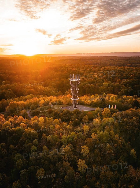 Aerial view of the Schönbuchturm in autumn forest at sunrise, Herrenberg, Germany, Europe