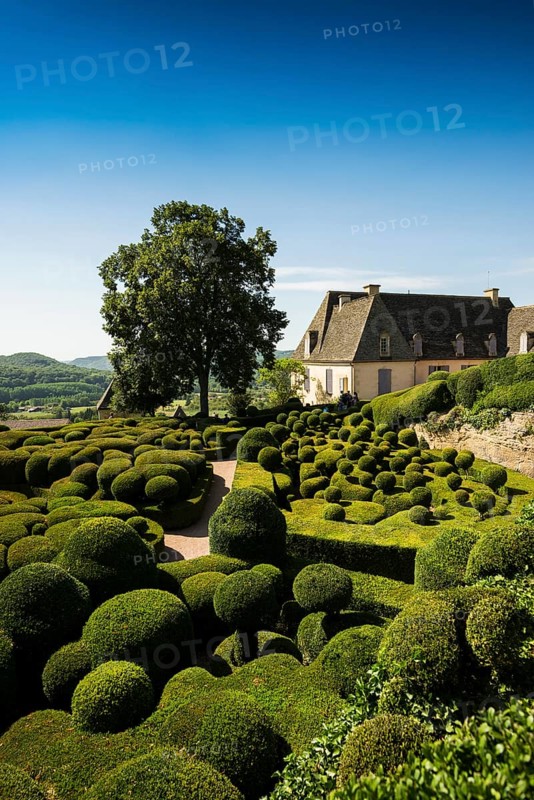 Boxwood garden, Les Jardins de Marqueyssac, Vezac, Dordogne, Périgord, Département Dordogne, Region Nouvelle-Aquitaine, France, Europe