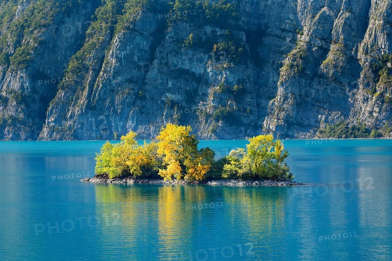 Small chive island in the turquoise waters of Lake Walen, Canton St. Gallen, Switzerland, Europe