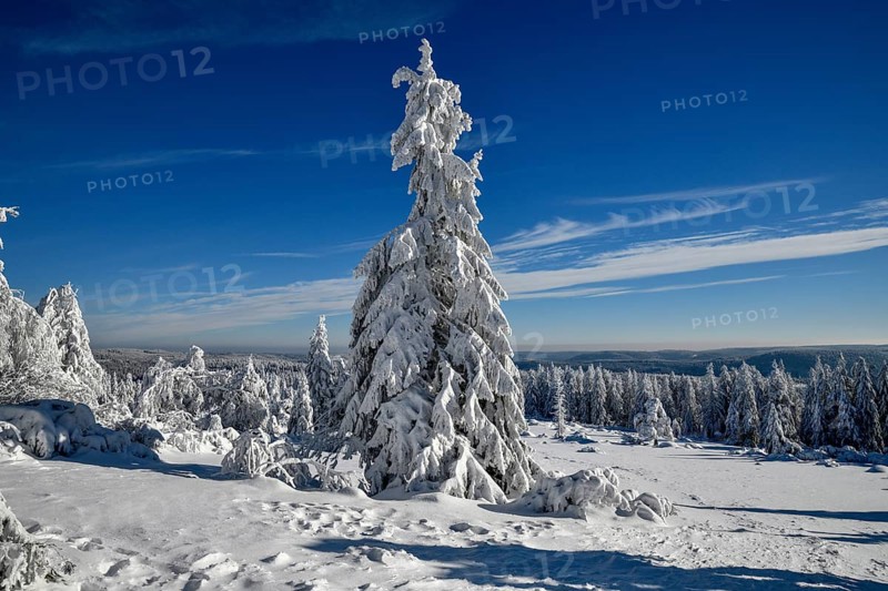 Snowy winter landscape near the Schliffkopf, near Baiersbronn, county Freudenstadt, Black Forest, Baden-Württemberg, Germany, Europe