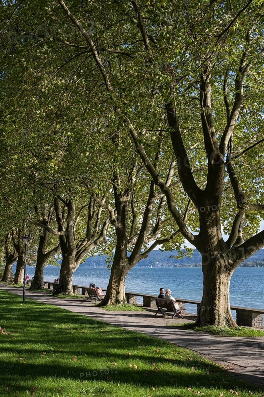 The Mettnau Park with the Istres Promenade on the shore of Lake Constance, Mettnau Peninsula, Radolfzell, Constance County, Baden-Württemberg, Germany, Europe