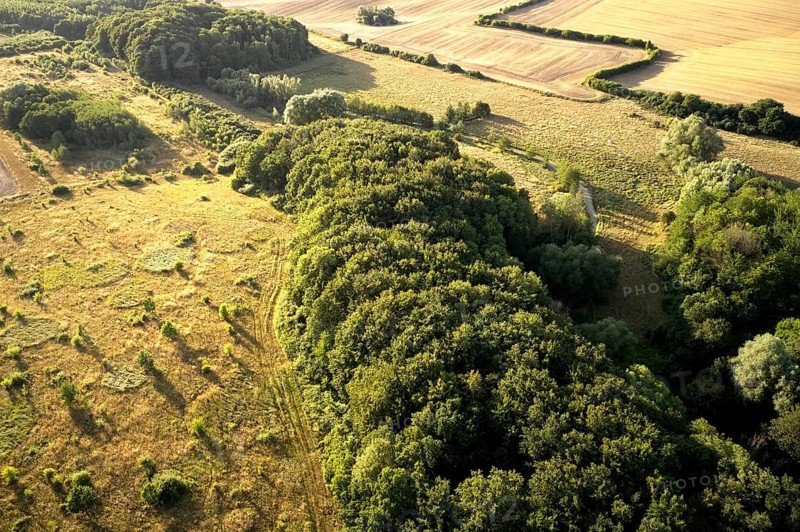 Aerial photograph of the green belt on the border between Schleswig-Holstein and Mecklenburg-Western Pomerania, Steinerne Rinne, Römnitz, Schleswig-Holstein, Germany, Europe