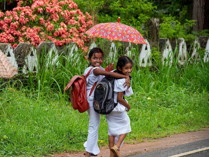 School children, girls in white school clothes with umbrella, Dambulla, Sri Lanka, Asia
