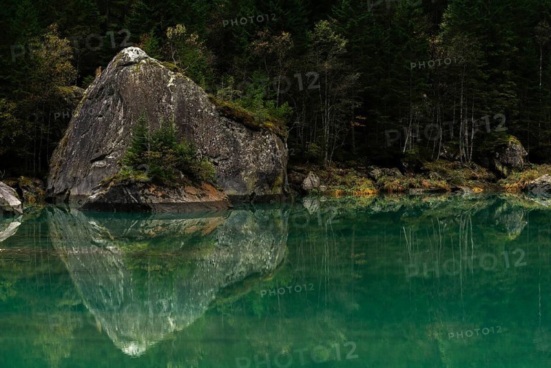 Stilluptal, Stillupgrund, Mayrhofen, High Mountain nature park Park Zillertal Alps, water reflection, fir forest, autumn colours, Tyrol, Austria, Europe