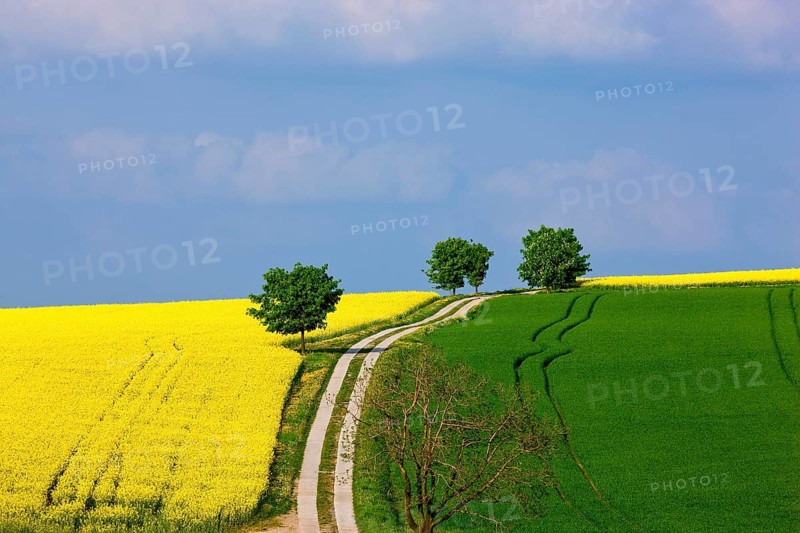 Landscape near Frauenstein