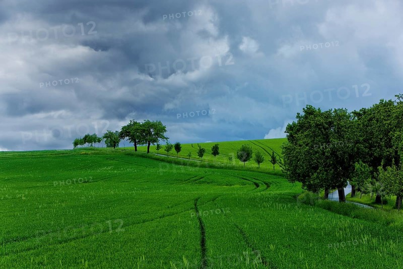 Summer landscape near Rathewalde in Saxon Switzerland