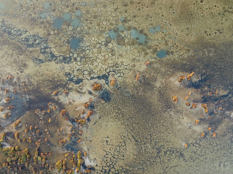 Conspicuous patterns at the bottom of the shallow lagoon Salinas de Cerrillos, aerial view, drone shot, Almería province, Andalusia, Spain, Europe