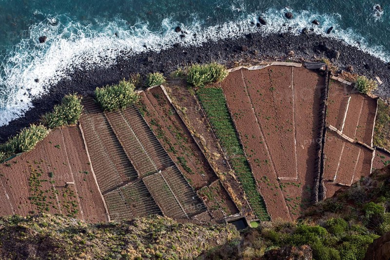View from the glass-bottom skywalk, Cabo Girao, of terraced fields by the sea, Camara de Lobos, Madeira Island, Portugal, Europe