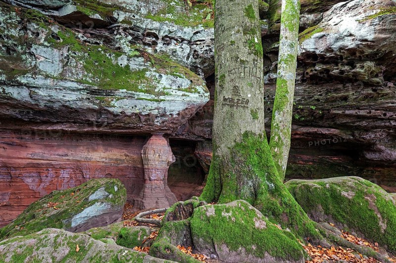 Old castle rock, red sandstone rock formation, natural and cultural monument, Brechenberg near Eppenbrunn, Palatinate Forest, Rhineland-Palatinate, Germany, Europe