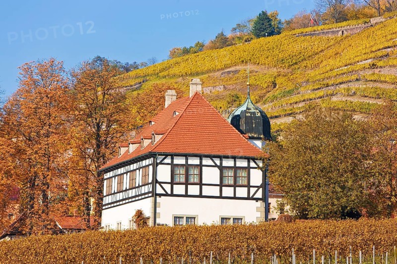 Winery Haus Hoflößnitz