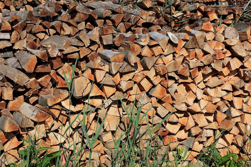 Stacked firewood, split wood in logs, stacked for drying