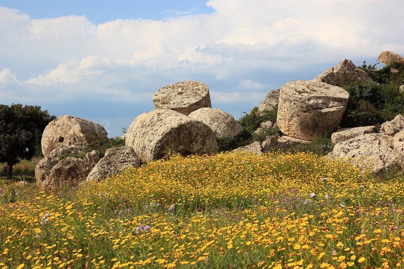 Selinunte, column parts, debris from a temple in the archaeological site of Selinunte, Trapani province, Sicily, Italy, Europe