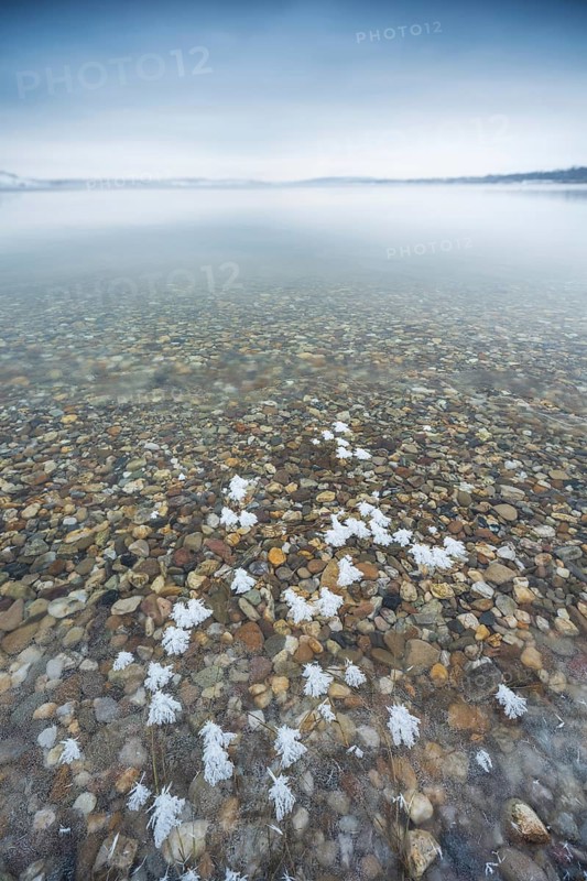 Winter at the Geiseltalsee, ice crystals, clear water and colourful pebbles, Mücheln, Saxony-Anhalt, Germany, Europe