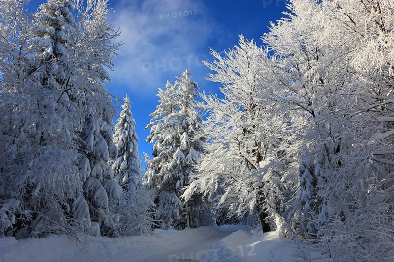 Winter landscape in the Fichtelgebirge, Bayreuth district, Upper Franconia, Bavaria, Germany, Europe