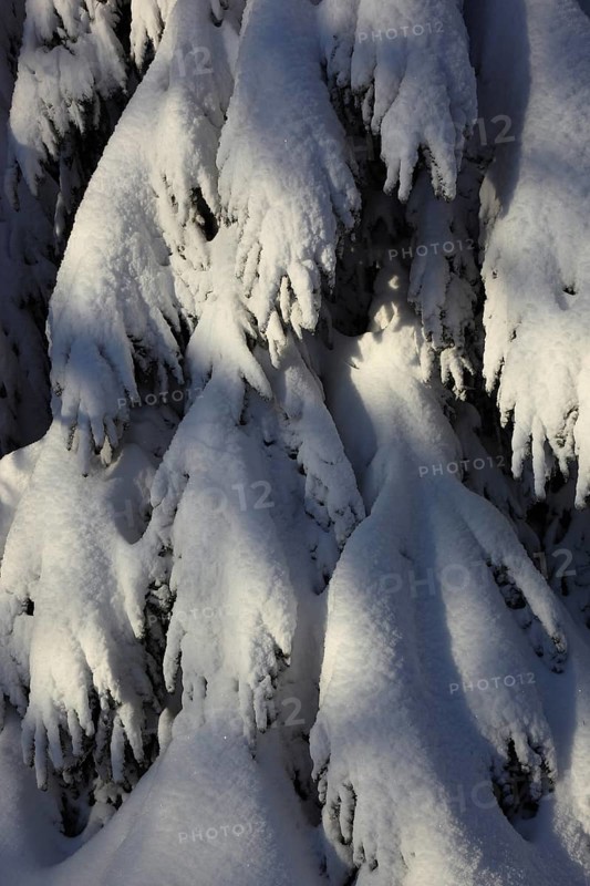 Winter landscape in the Fichtelgebirge, Bayreuth district, Upper Franconia, Bavaria, Germany, Europe