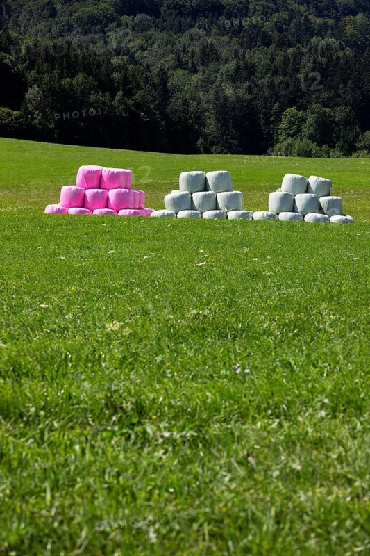 Colourful hay bales in the meadow near the village of Koppl, Osterhorngruppe, Flachgau, Land Salzburg