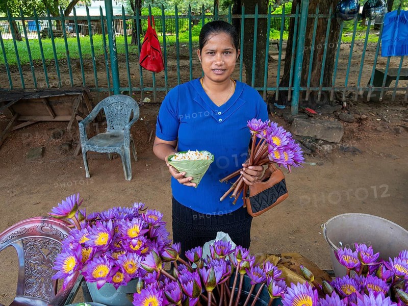 Flower seller, Sri Lanka, Asia