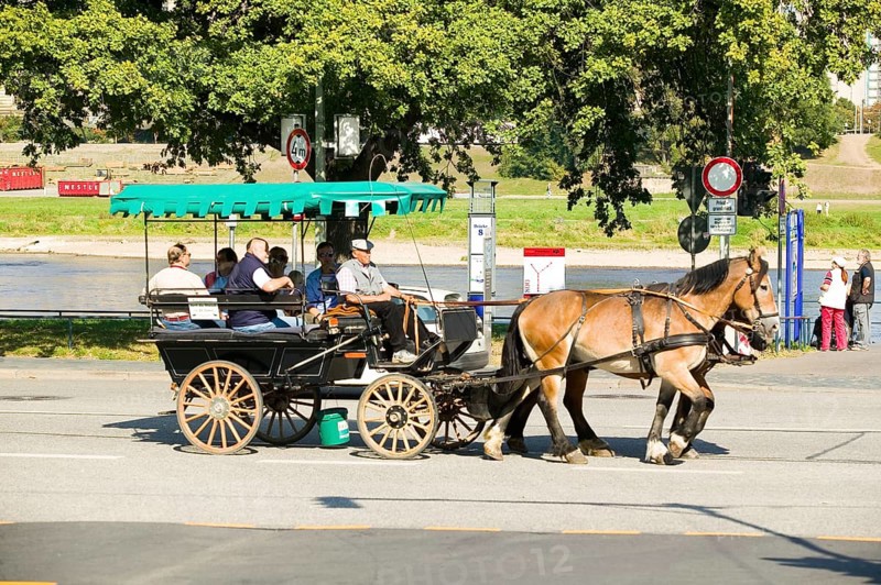 City tour by coach in Dresden's historic city centre