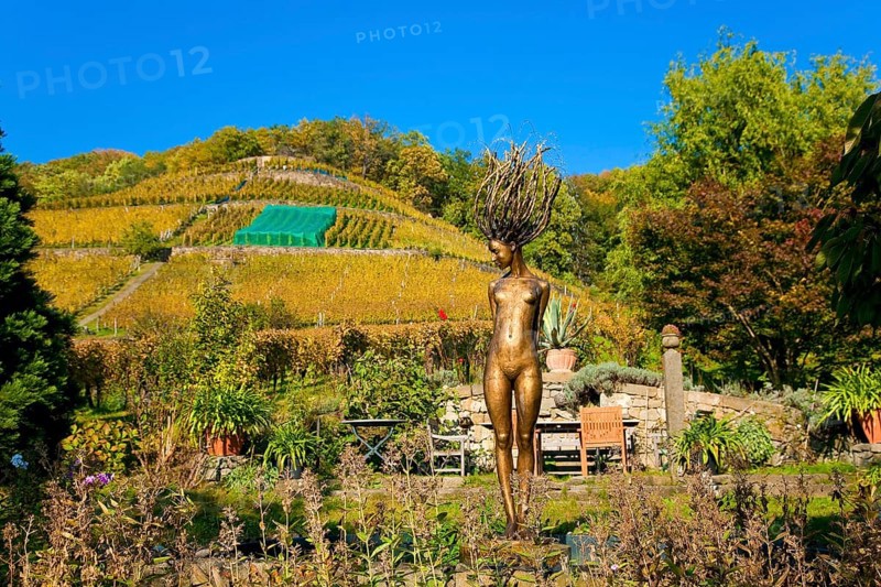 Klaus Zimmerling Winery