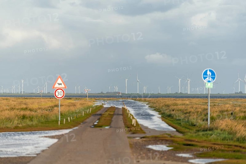Hamburg Hallig, traffic sign, caution sheep, car, wind turbines in the Koog, Reußenköge, North Frisia, Schleswig-Holstein, Northern Germany, Germany, Europe