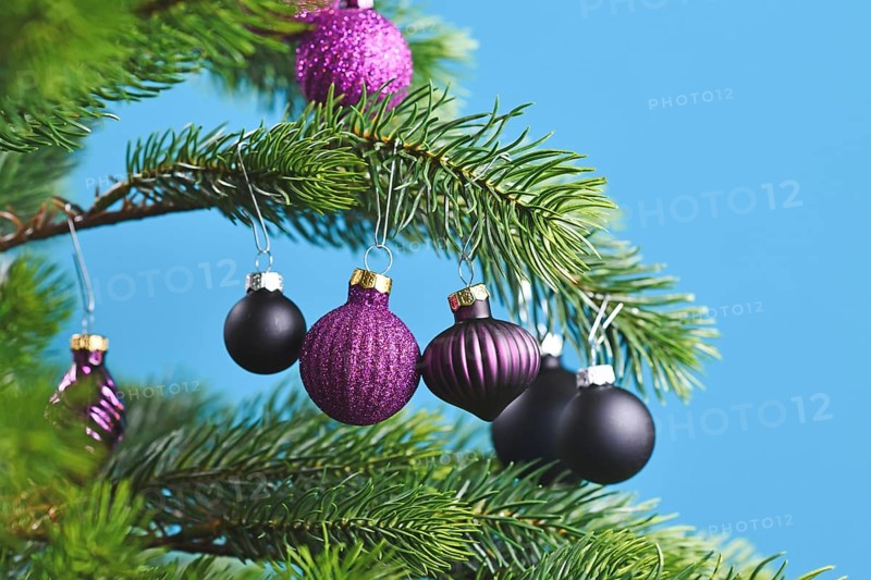 Close up of beautiful purple glass tree bauble with decorated Christmas tree with other seasonal tree ornaments on bright blue background