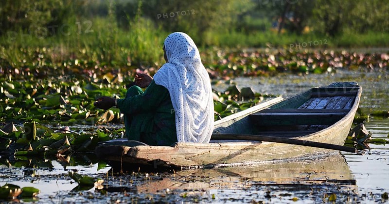 Tourism from Europe in the Indian part of the Himalayas, in the parts of Ladakh and Kashmir, pictured here in June 2019- is quite rare but still very interesting. There are travel warnings.Kashmir. Dal Lake. Shakira, IND, India, Asia