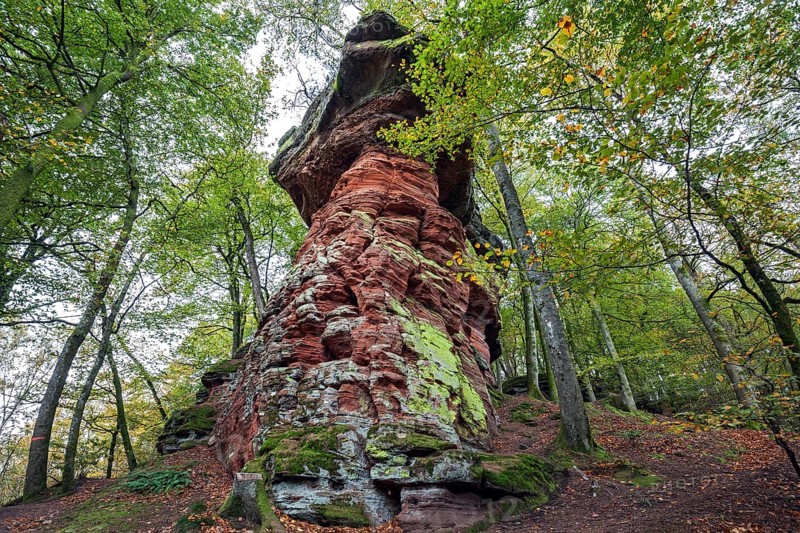 Old castle rock, red sandstone rock formation, natural and cultural monument, Brechenberg near Eppenbrunn, Palatinate Forest, Rhineland-Palatinate, Germany, Europe